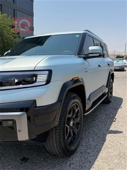 دينزا B8